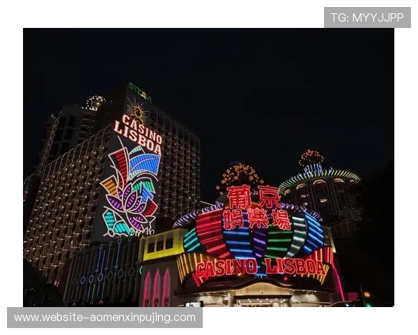 澳门葡京威尼克斯人:揭秘澳门葡京赌场中威尼克斯人的角色与贡献