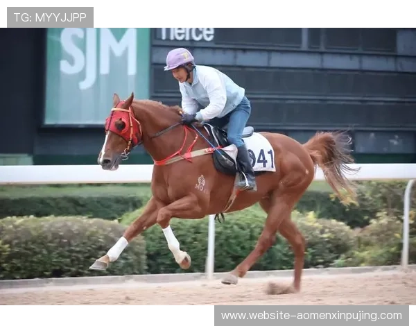 澳门赛马会赛事资讯官网提供详细赛事报道与精彩瞬间，满足爱好者的多样需求