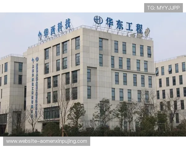 新葡新京集团网站详解企业社会责任项目与可持续发展战略布局