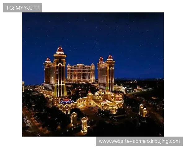 澳门十大娱乐场所法人代表名单及其在行业中的核心作用解析