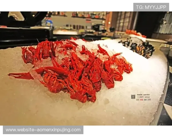 澳门娱乐城最新优惠活动汇总，助你轻松享受高品质娱乐体验